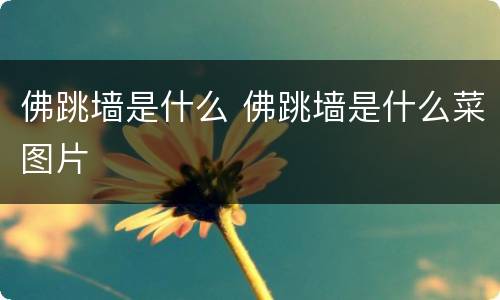 佛跳墙是什么 佛跳墙是什么菜图片