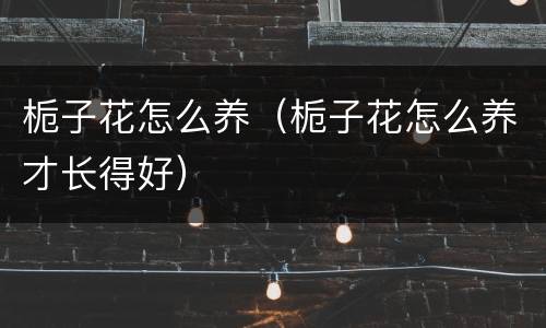 栀子花怎么养（栀子花怎么养才长得好）