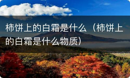 柿饼上的白霜是什么（柿饼上的白霜是什么物质）