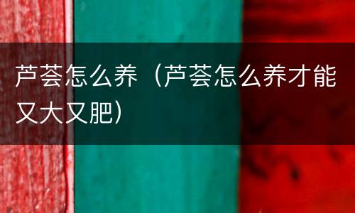 芦荟怎么养（芦荟怎么养才能又大又肥）