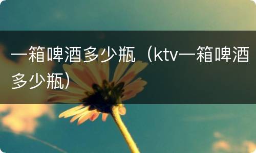 一箱啤酒多少瓶（ktv一箱啤酒多少瓶）