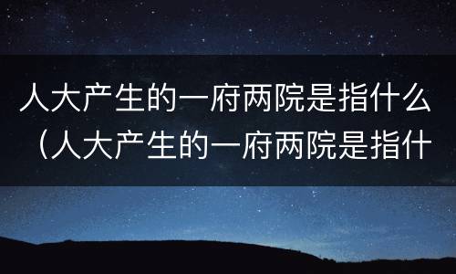 人大产生的一府两院是指什么（人大产生的一府两院是指什么和什么）