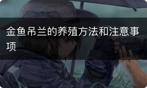 金鱼吊兰的养殖方法和注意事项