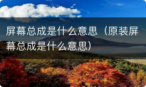 屏幕总成是什么意思（原装屏幕总成是什么意思）