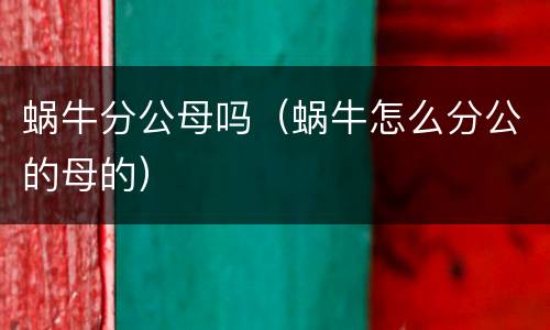 蜗牛分公母吗（蜗牛怎么分公的母的）