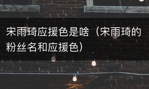 宋雨琦应援色是啥（宋雨琦的粉丝名和应援色）