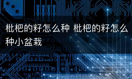 枇杷的籽怎么种 枇杷的籽怎么种小盆栽