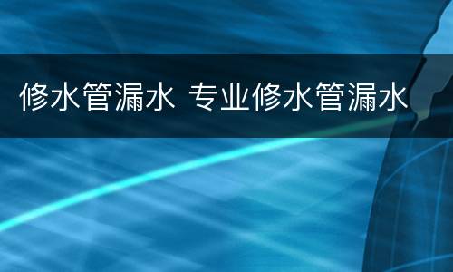 修水管漏水 专业修水管漏水