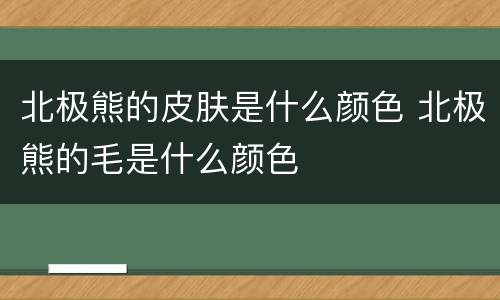 北极熊的皮肤是什么颜色 北极熊的毛是什么颜色