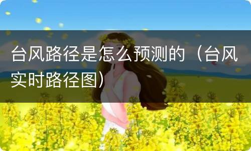 台风路径是怎么预测的（台风实时路径图）
