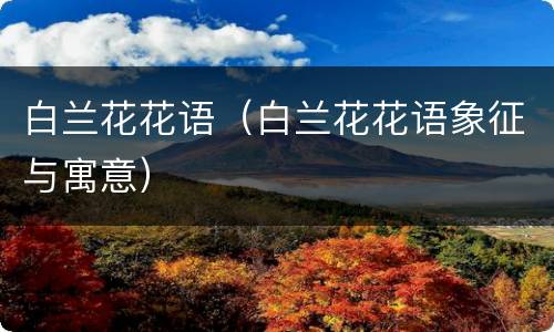 白兰花花语（白兰花花语象征与寓意）