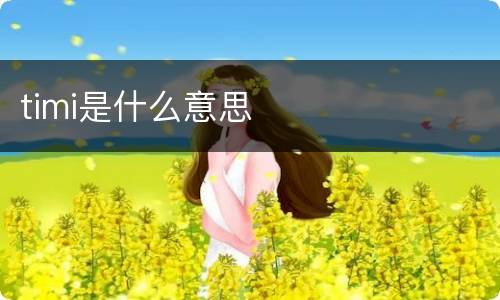 timi是什么意思