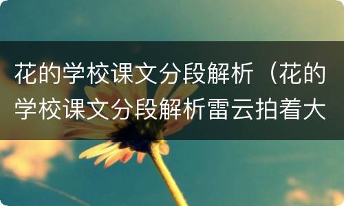 花的学校课文分段解析（花的学校课文分段解析雷云拍着大手浅意和深层意思）