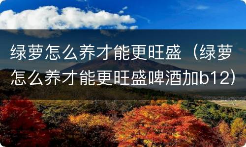 绿萝怎么养才能更旺盛（绿萝怎么养才能更旺盛啤酒加b12）