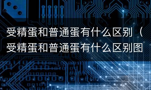 受精蛋和普通蛋有什么区别（受精蛋和普通蛋有什么区别图片）