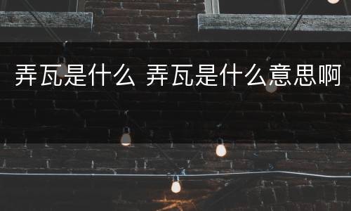 弄瓦是什么 弄瓦是什么意思啊