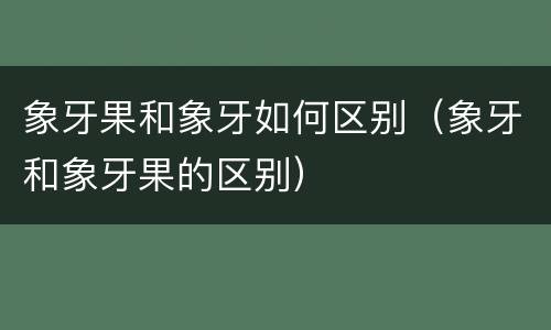 象牙果和象牙如何区别（象牙和象牙果的区别）