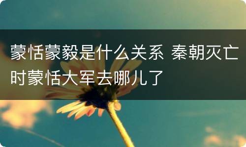 蒙恬蒙毅是什么关系 秦朝灭亡时蒙恬大军去哪儿了