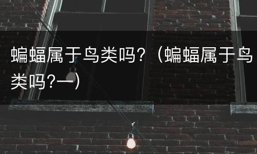 蝙蝠属于鸟类吗?（蝙蝠属于鸟类吗?一）