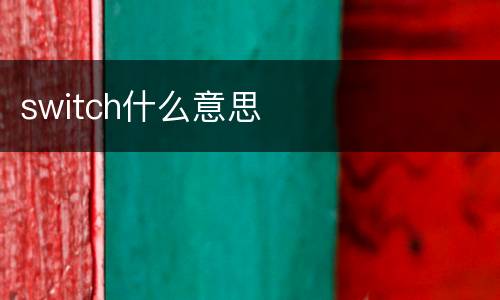 switch什么意思