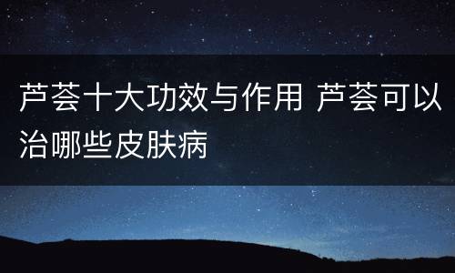 芦荟十大功效与作用 芦荟可以治哪些皮肤病