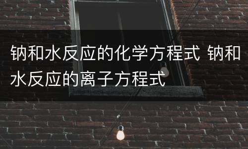 钠和水反应的化学方程式 钠和水反应的离子方程式