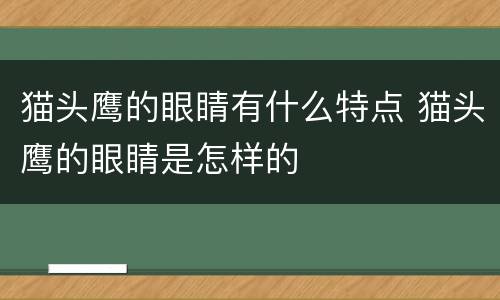 猫头鹰的眼睛有什么特点 猫头鹰的眼睛是怎样的
