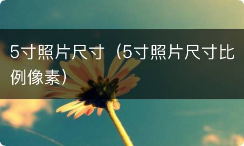 5寸照片尺寸（5寸照片尺寸比例像素）