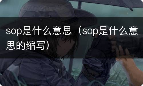 sop是什么意思（sop是什么意思的缩写）
