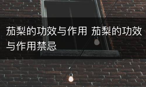 茄梨的功效与作用 茄梨的功效与作用禁忌