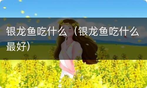 银龙鱼吃什么（银龙鱼吃什么最好）