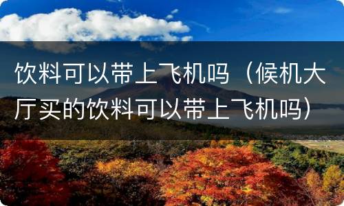 饮料可以带上飞机吗（候机大厅买的饮料可以带上飞机吗）