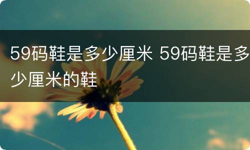 59码鞋是多少厘米 59码鞋是多少厘米的鞋