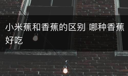 小米蕉和香蕉的区别 哪种香蕉好吃