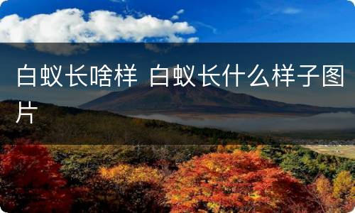 白蚁长啥样 白蚁长什么样子图片