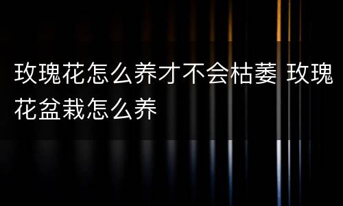 玫瑰花怎么养才不会枯萎 玫瑰花盆栽怎么养