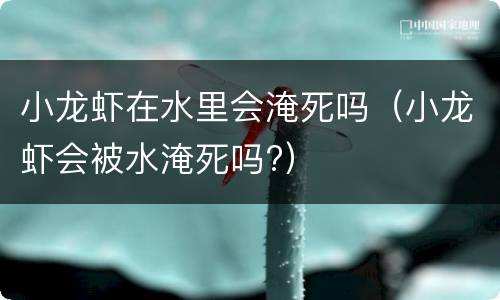 小龙虾在水里会淹死吗（小龙虾会被水淹死吗?）