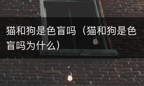 猫和狗是色盲吗（猫和狗是色盲吗为什么）