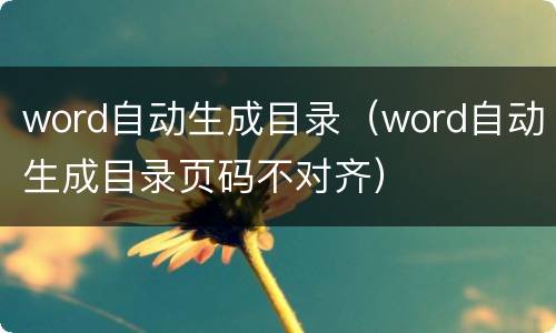 word自动生成目录（word自动生成目录页码不对齐）