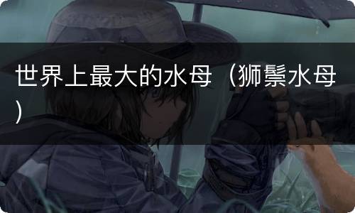 世界上最大的水母（狮鬃水母）