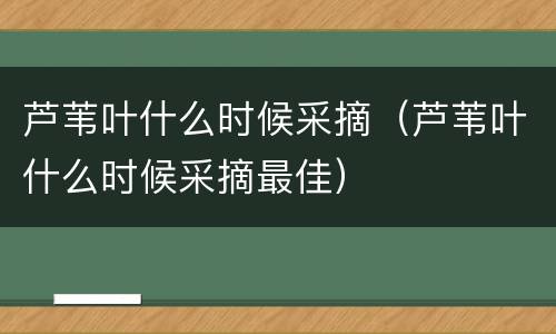 芦苇叶什么时候采摘（芦苇叶什么时候采摘最佳）