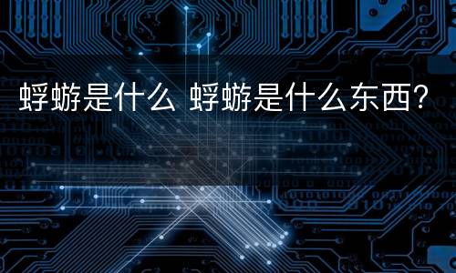 蜉蝣是什么 蜉蝣是什么东西?