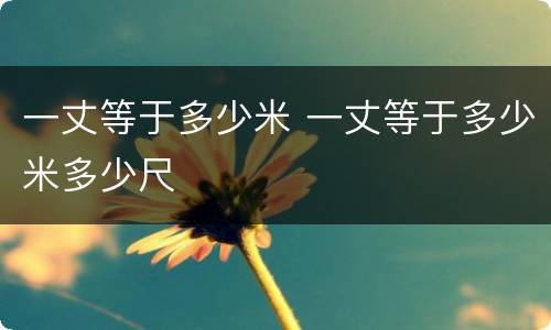 一丈等于多少米 一丈等于多少米多少尺