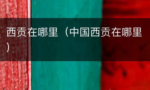 西贡在哪里（中国西贡在哪里）