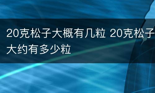 20克松子大概有几粒 20克松子大约有多少粒