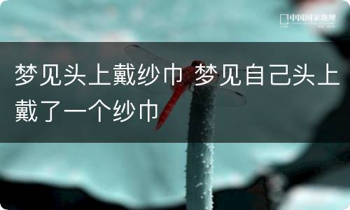 梦见头上戴纱巾 梦见自己头上戴了一个纱巾