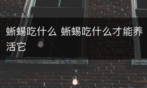 蜥蜴吃什么 蜥蜴吃什么才能养活它