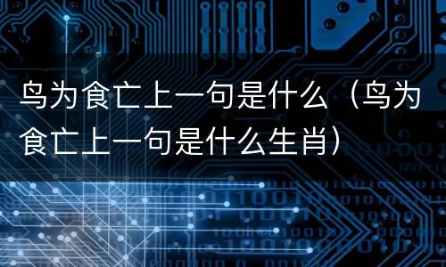 鸟为食亡上一句是什么（鸟为食亡上一句是什么生肖）