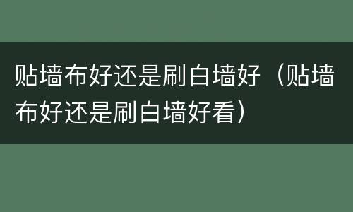 贴墙布好还是刷白墙好（贴墙布好还是刷白墙好看）
