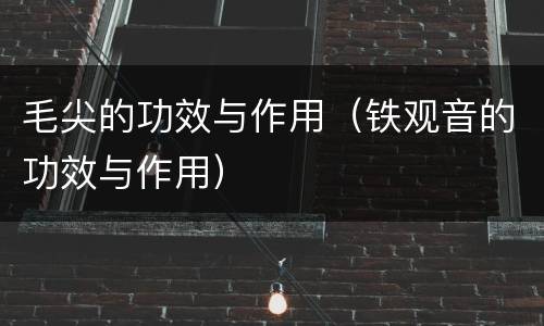 毛尖的功效与作用（铁观音的功效与作用）